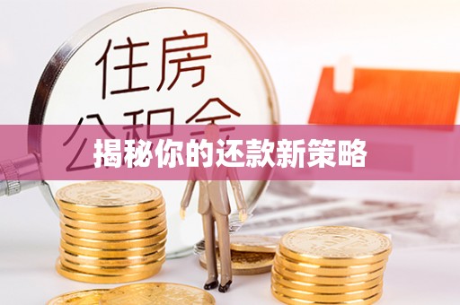 杞县揭秘你的还款新策略