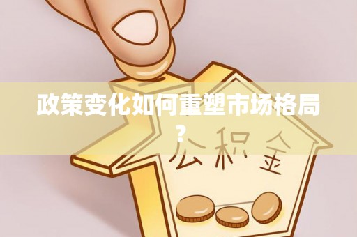 杞县政策变化如何重塑市场格局？