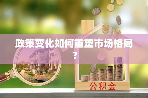 杞县政策变化如何重塑市场格局？