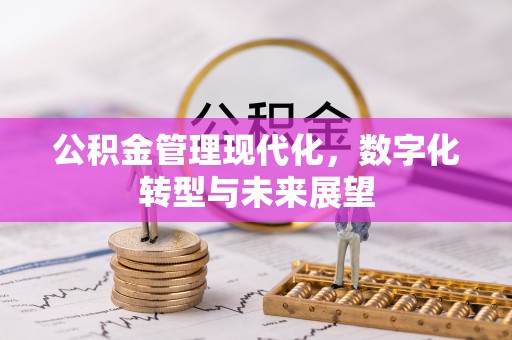 杞县公积金管理现代化，数字化转型与未来展望