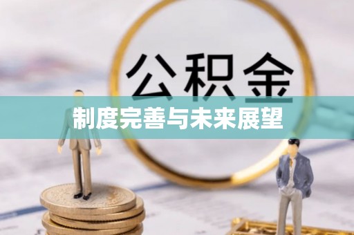 杞县制度完善与未来展望