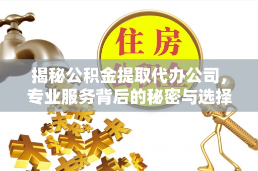 杞县揭秘公积金提取代办公司，专业服务背后的秘密与选择指南
