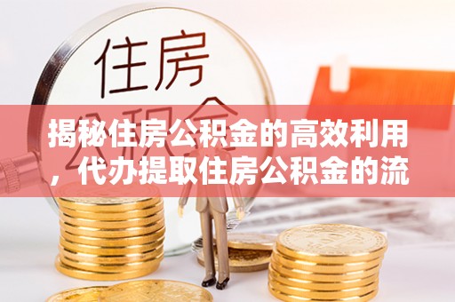 杞县揭秘住房公积金的高效利用，代办提取住房公积金的流程与技巧