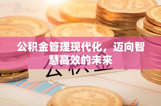 杞县公积金管理现代化，迈向智慧高效的未来