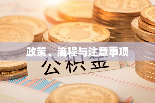 杞县政策、流程与注意事项