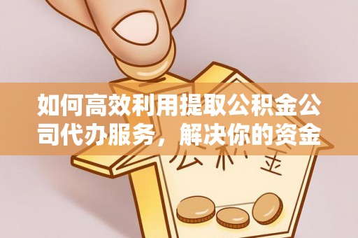 杞县如何高效利用提取公积金公司代办服务，解决你的资金难题