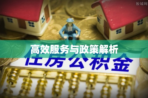 杞县高效服务与政策解析