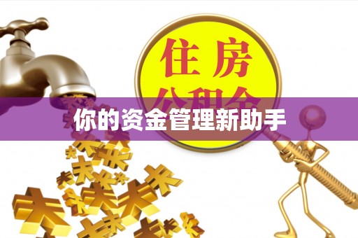 杞县你的资金管理新助手