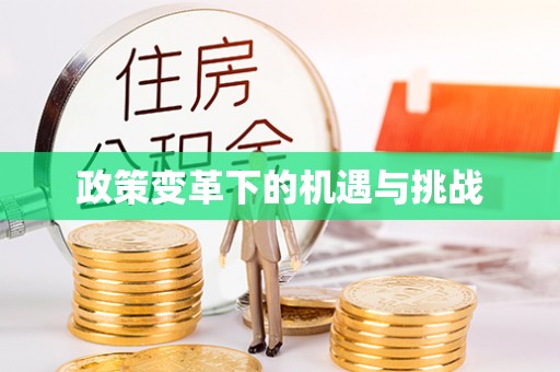 杞县政策变革下的机遇与挑战