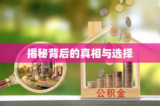 杞县揭秘背后的真相与选择