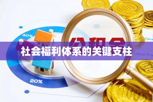 杞县社会福利体系的关键支柱