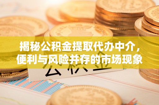 杞县揭秘公积金提取代办中介，便利与风险并存的市场现象
